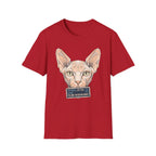 Feline Misdemeanor