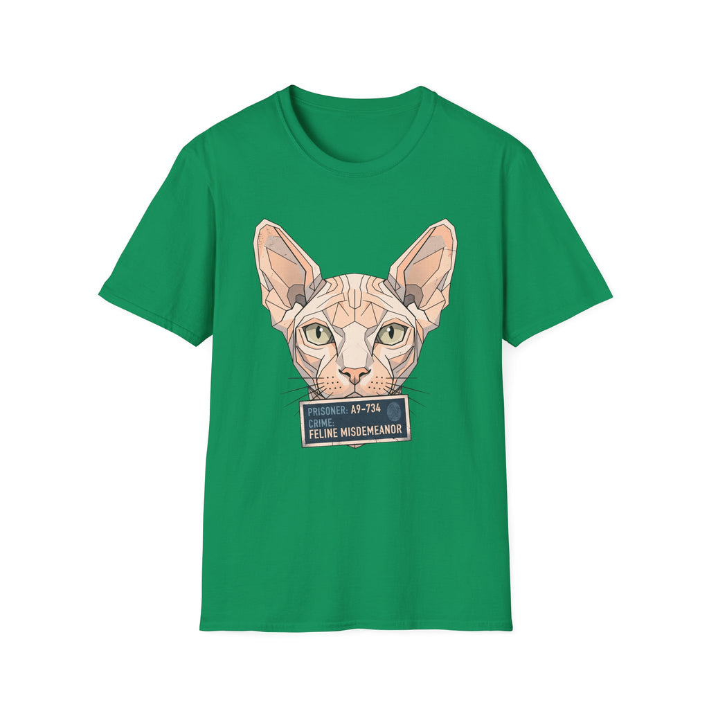 Feline Misdemeanor