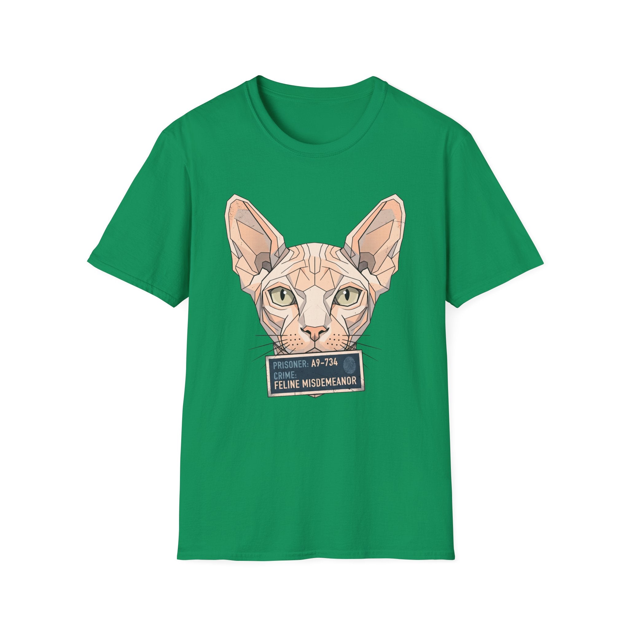 Feline Misdemeanor
