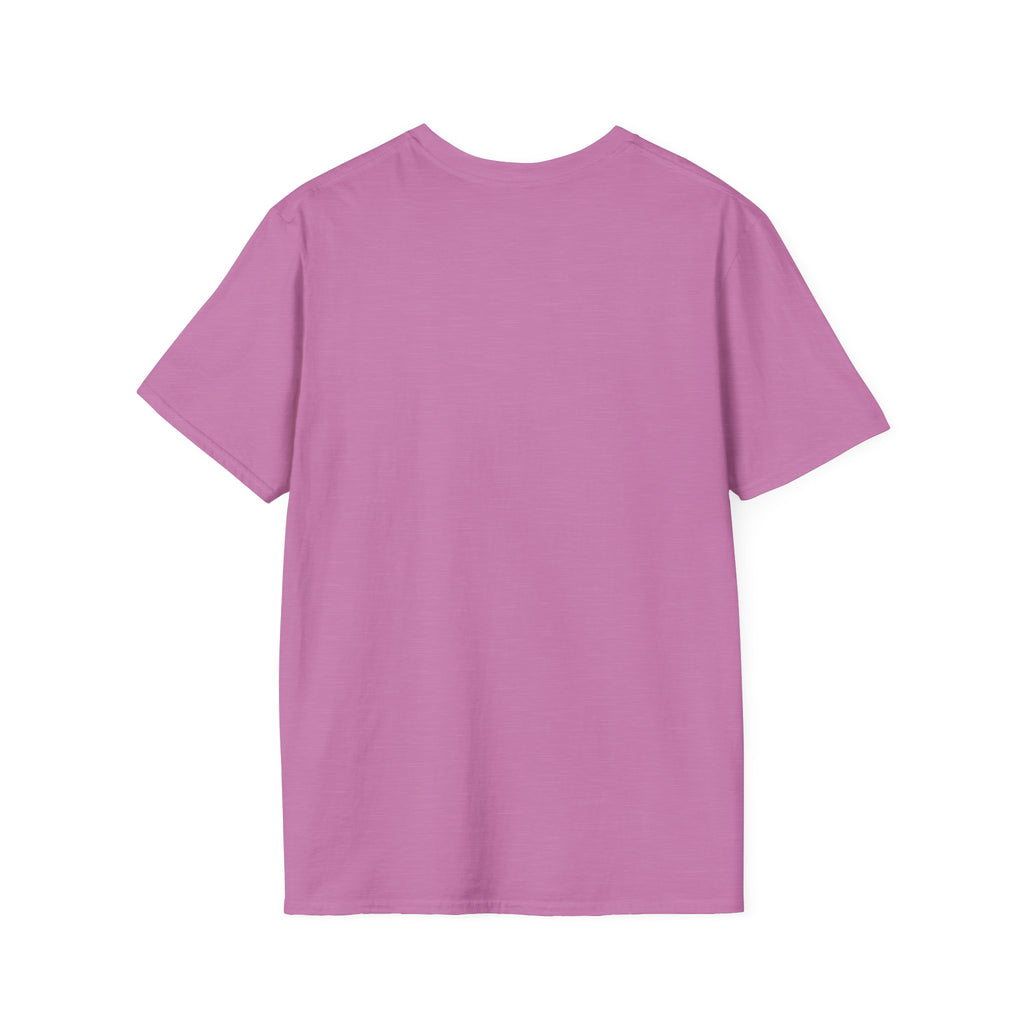 Cushion or Box T-Shirt