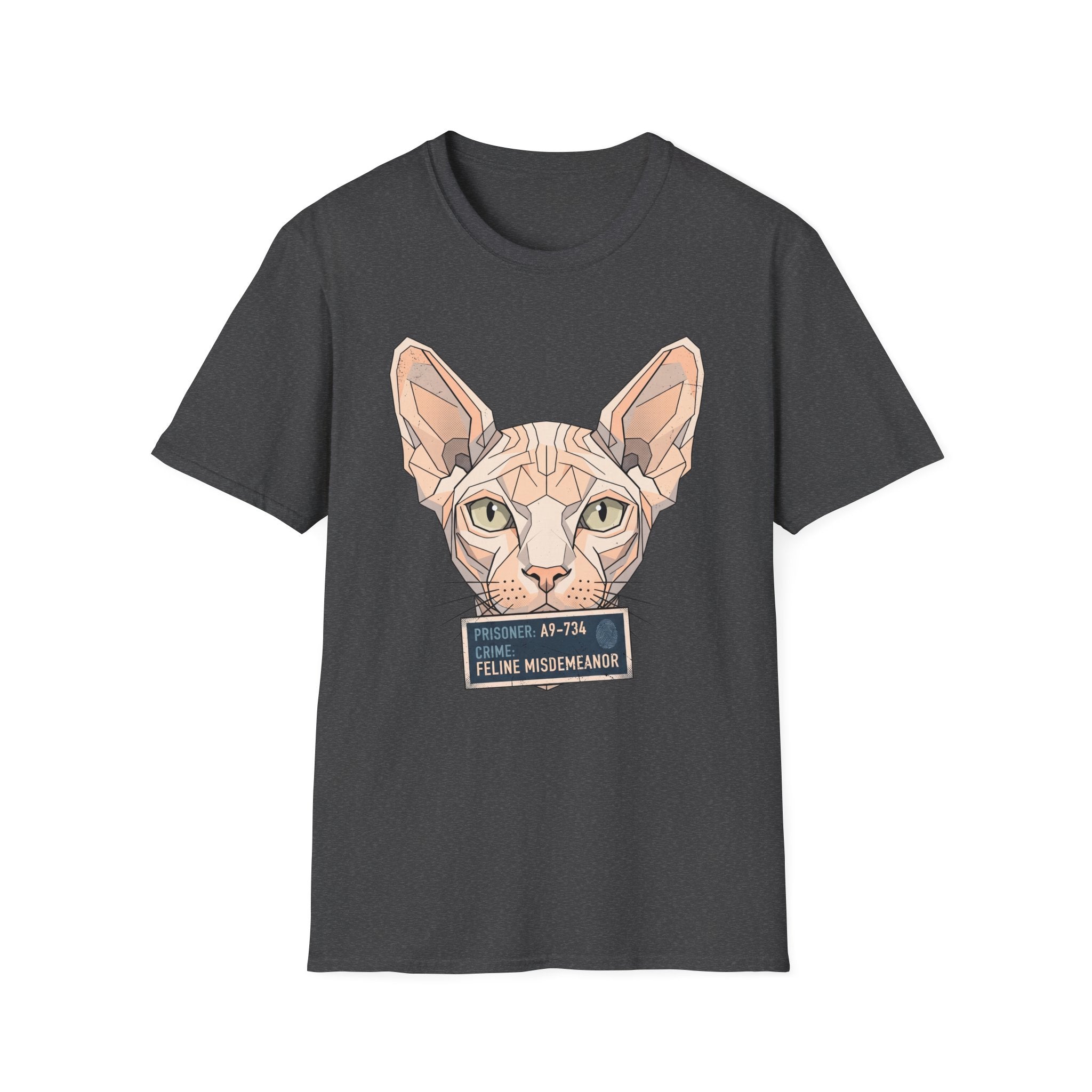 Feline Misdemeanor