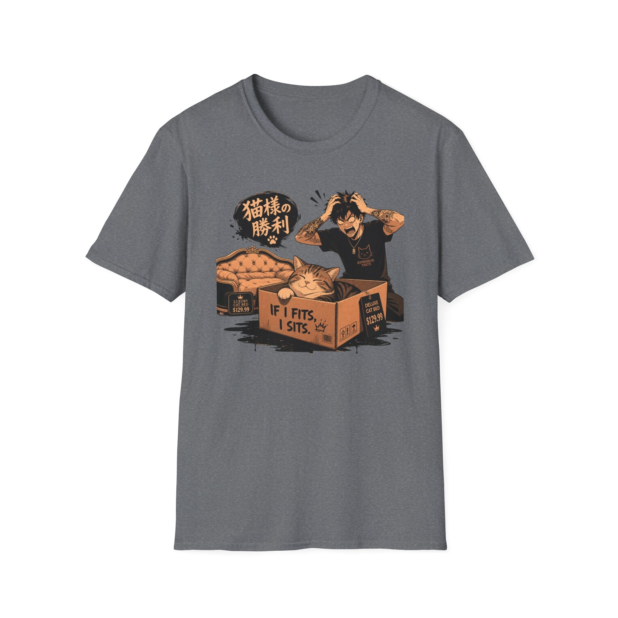 Cat and Box T-Shirt