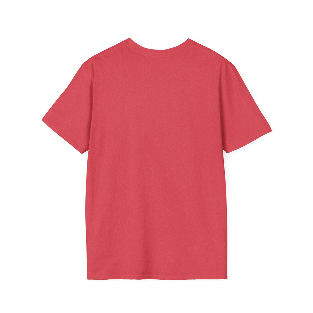 Cushion or Box T-Shirt