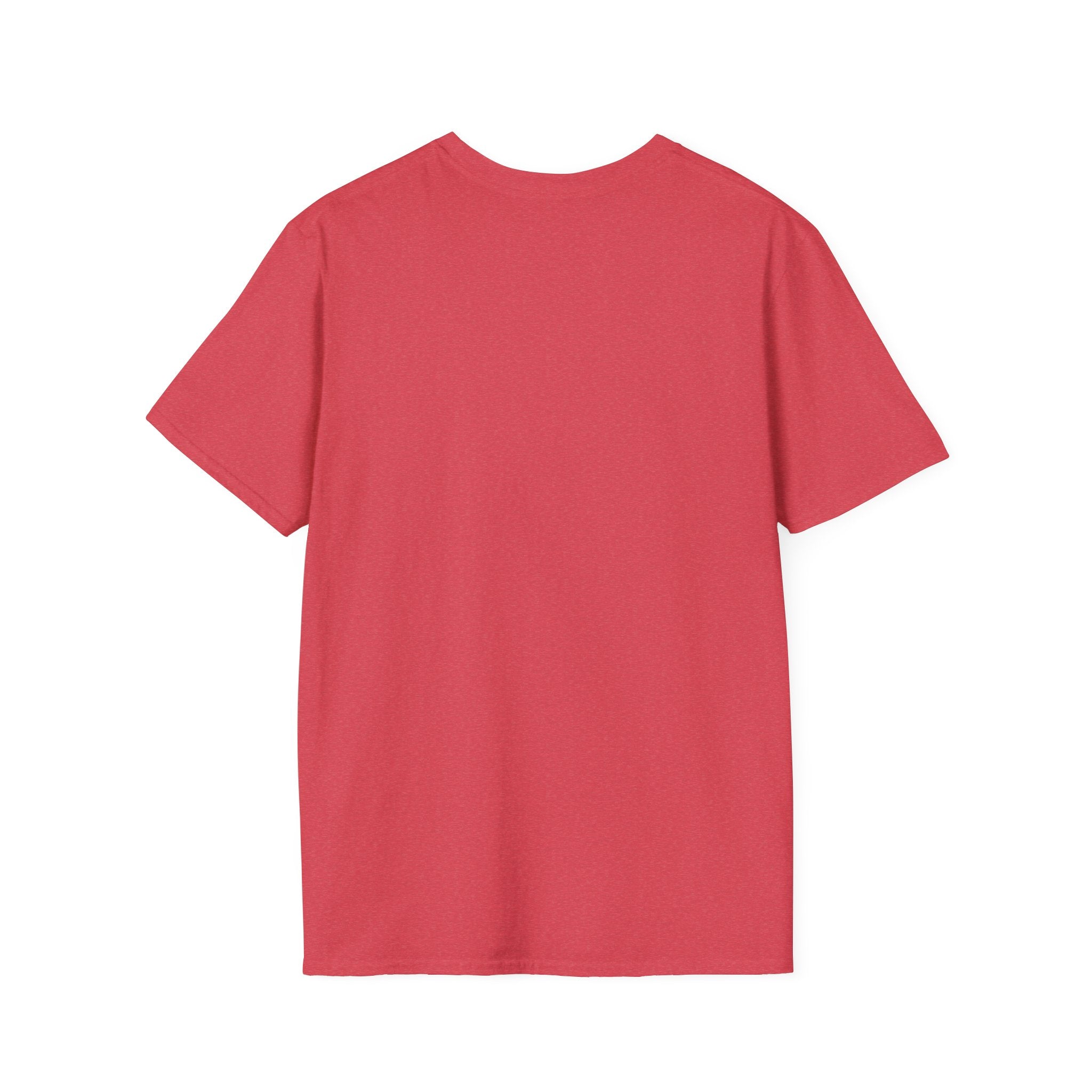 Cushion or Box T-Shirt