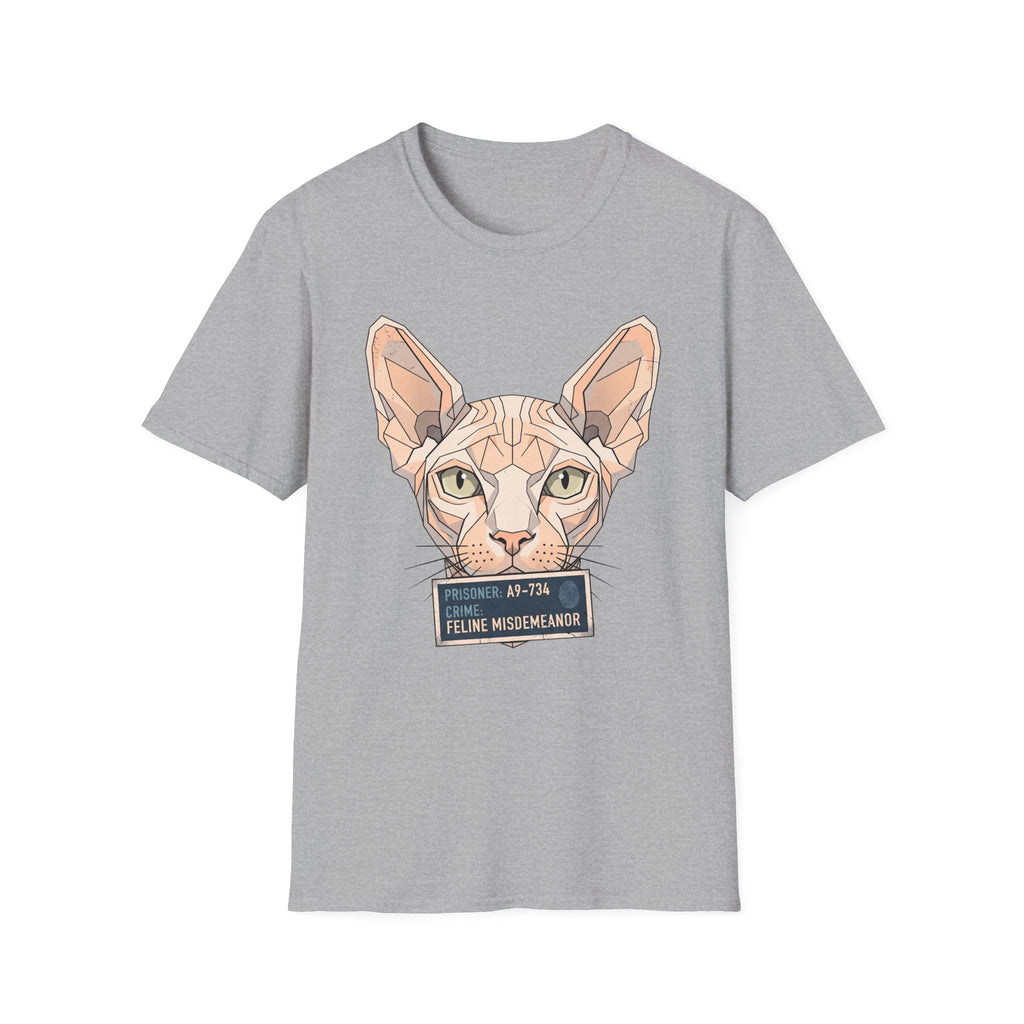 Feline Misdemeanor